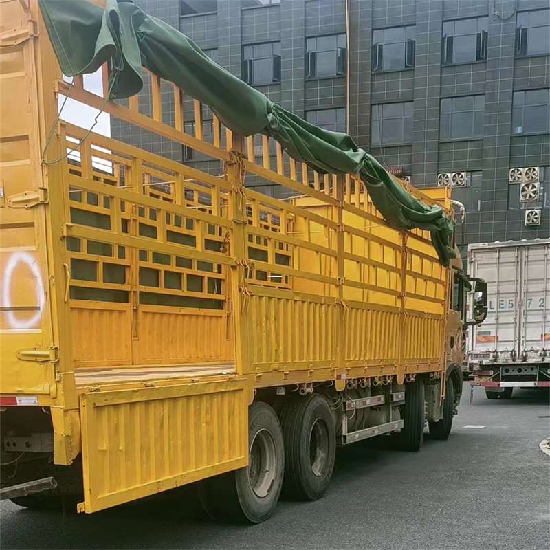 蜀山区吉安市物流：多元服务与高效运输线路探秘